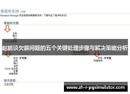 赵鹏谈欠薪问题的五个关键处理步骤与解决策略分析